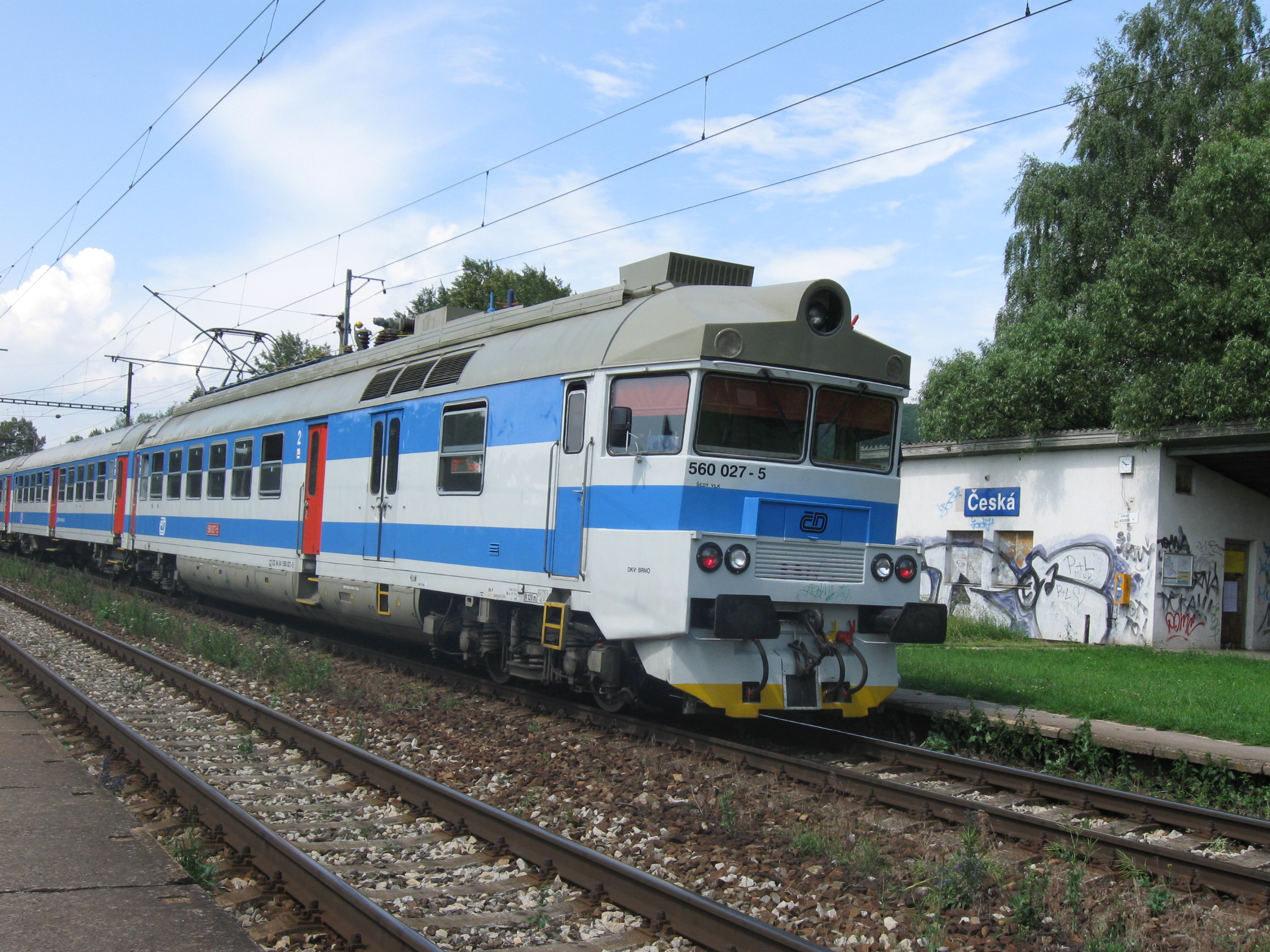 560-027-sedy-vlk--autor-jakub-pospisil-misto-ceska-datum-25.6[1]